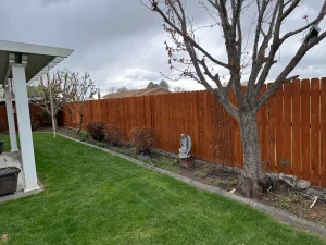 Fences