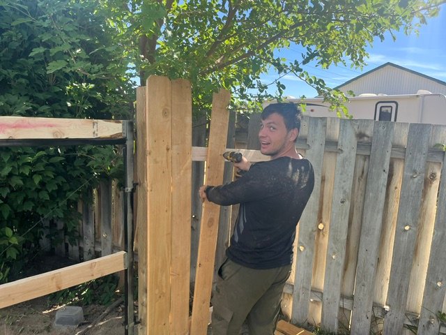 Replacing a rotten fence board with new cedar