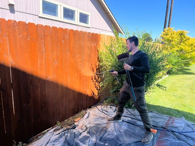 Spraying and back-brushing penetrating oil stain onto a cedar fence